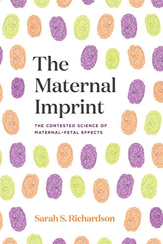 Book cover with colorful, swirling shapes and title "The Maternal Imprint.
