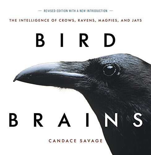 Book cover featuring a close-up of a raven’s head and the title “Bird Brains.”