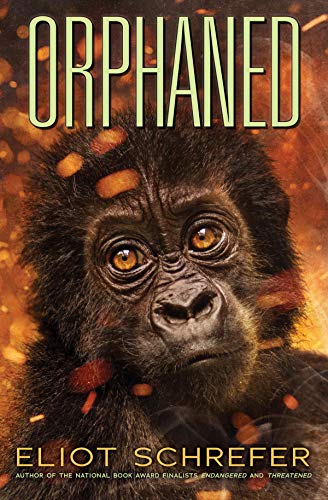 Book cover featuring a close-up of a young gorilla’s face.