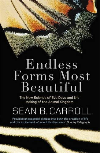 Book cover with a butterfly wing pattern on a black background and white text.
