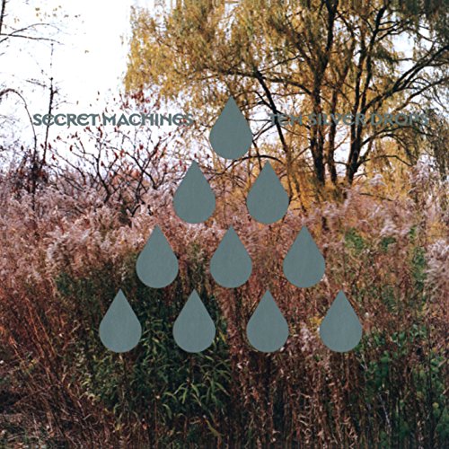 CD cover with gray raindrop shapes over a fall landscape.