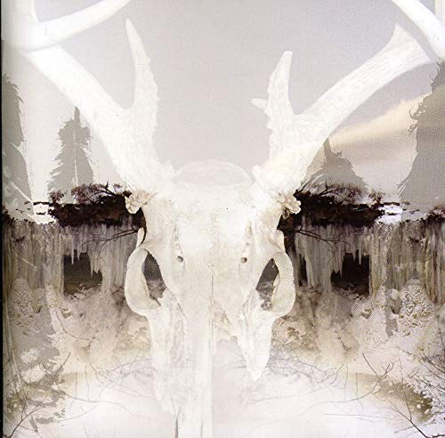 White animal skull with antlers against a snowy, forested landscape.