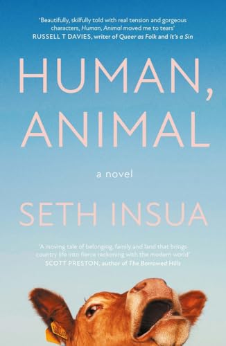 Book cover: “Human, Animal” by Seth Insúa, featuring a cow’s face.