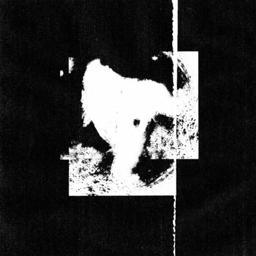 Abstract black and white image of a face, partially obscured.