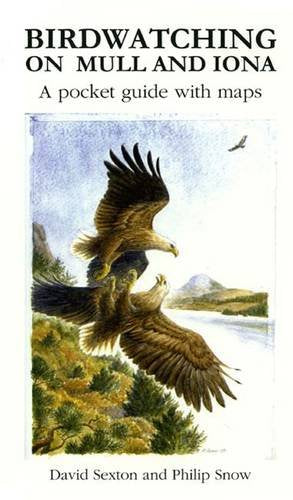 Book cover showing two golden eagles in flight over a landscape with distant mountains.