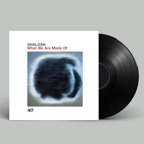 Vinyl record and album cover with abstract dark blue and white art.