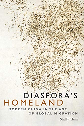 Book cover with abstract brown pattern and title "Diaspora's Homeland.