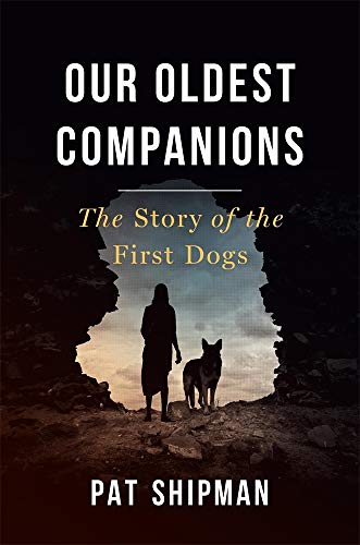 Book cover: woman and dog silhouetted in a cave opening.