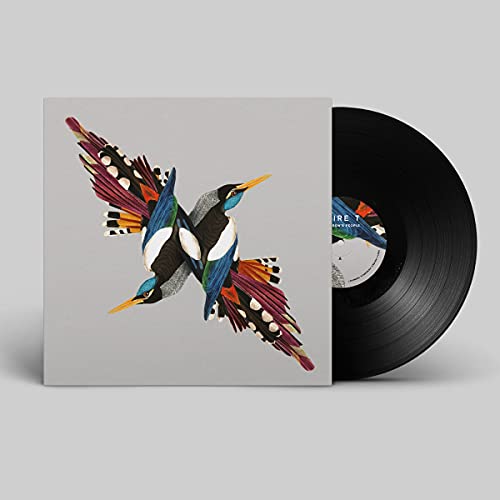 Vinyl record with cover art depicting two colorful, symmetrical birds in flight.