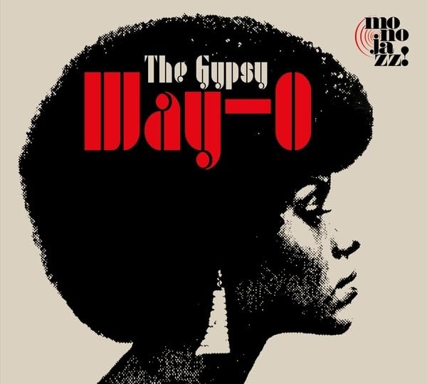 Vinyl record cover featuring a silhouetted woman with an afro.