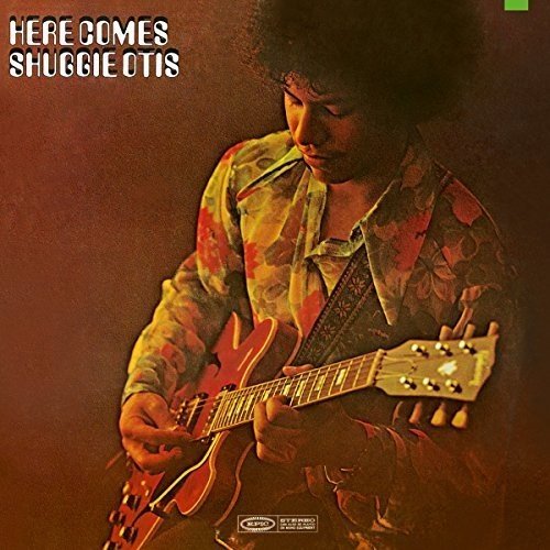 Vinyl album cover featuring a man playing an electric guitar, wearing a patterned shirt.