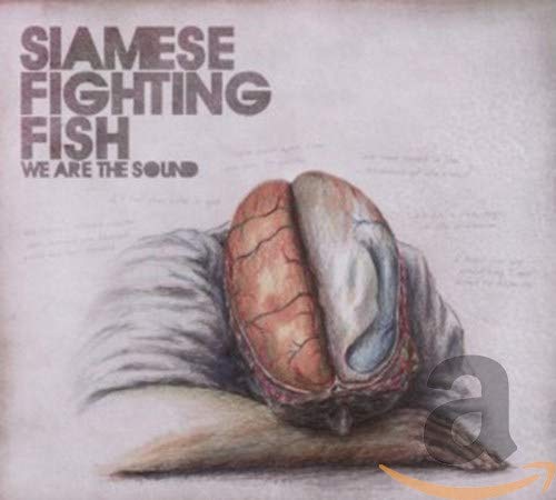 CD cover for Siamese Fighting Fish’s “We Are The Sound” with brain illustration.