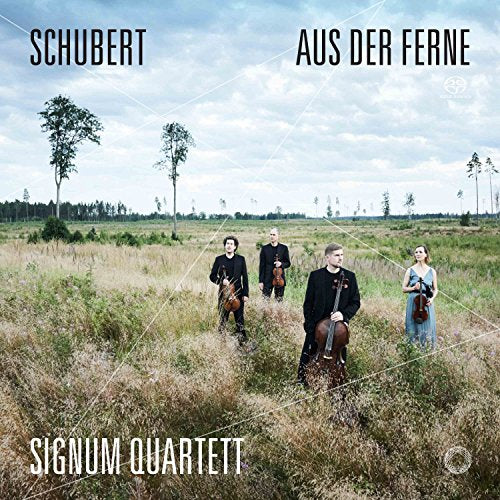 String quartet in a field with trees under a cloudy sky.