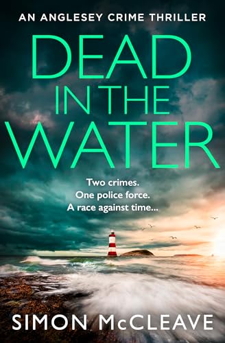 Book cover showing a lighthouse in a stormy sea with large green text title.