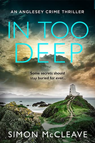 Book cover showing a lighthouse on a grassy hill overlooking the sea at sunset.