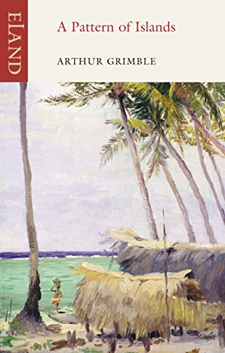 Book cover showing a tropical beach with palm trees, thatched huts, and a person.