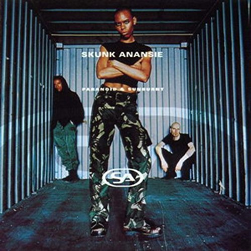 Skunk Anansie album cover: woman in camo pants, inside shipping container.