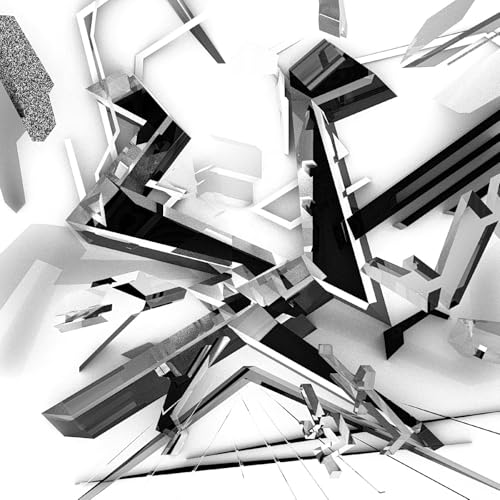 Abstract black and white geometric shapes resembling shattered glass.