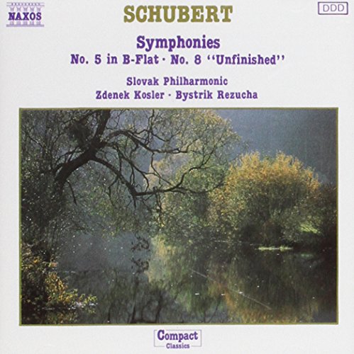 CD cover for Schubert symphonies featuring a misty landscape painting.