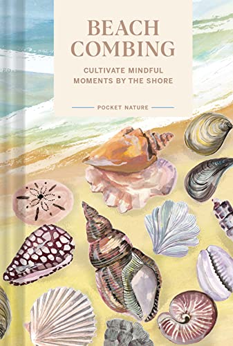 Book cover with watercolor illustrations of seashells and beach scenes.