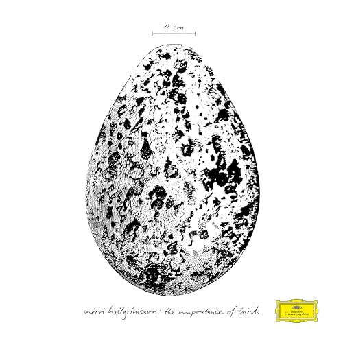 Black and white illustration of a speckled bird egg, vinyl record artwork.