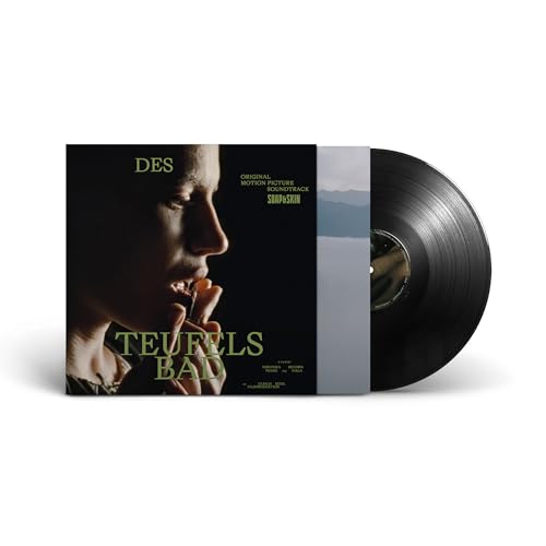 Vinyl record and album cover featuring a portrait and landscape.