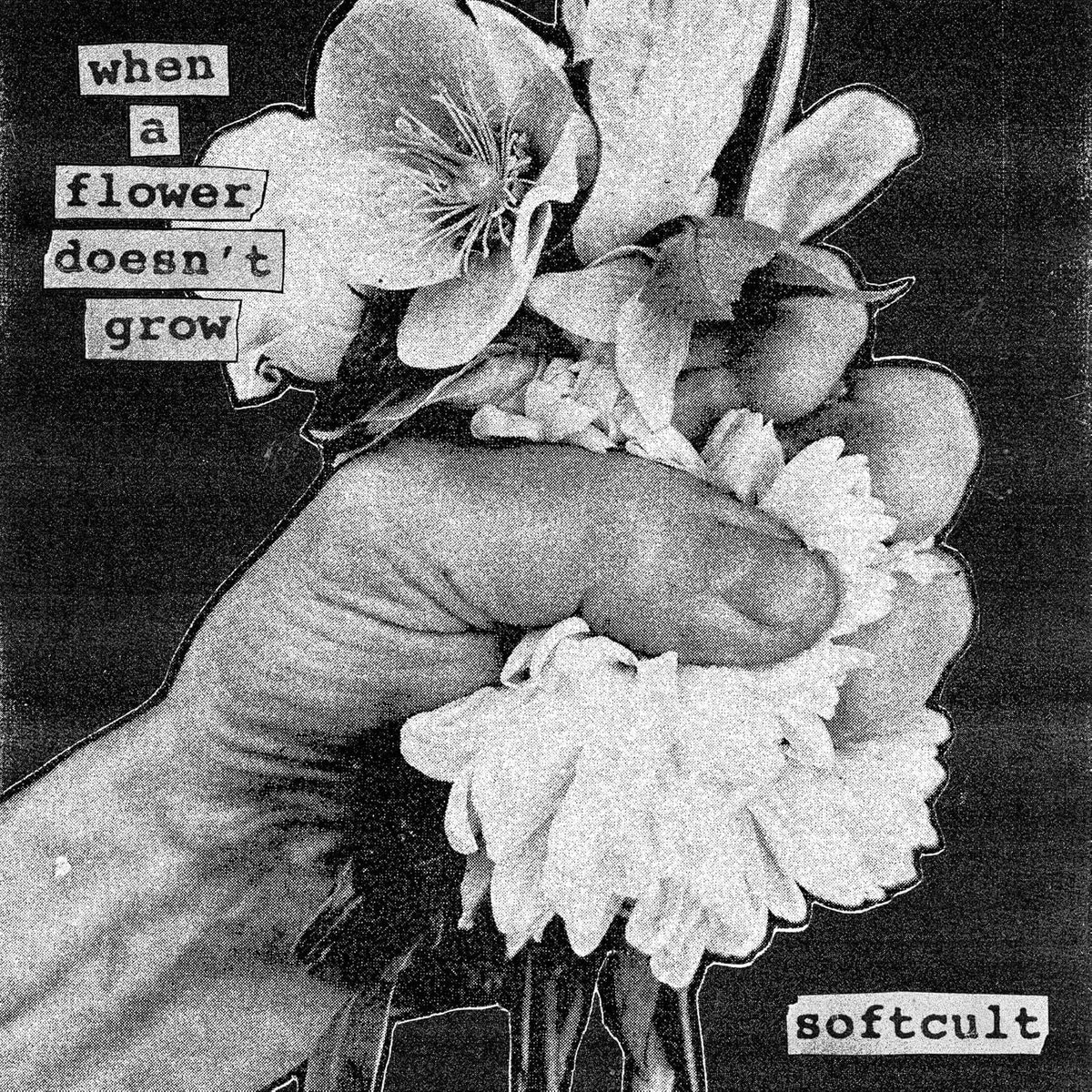Black and white image of flowers held in a hand, text overlay.