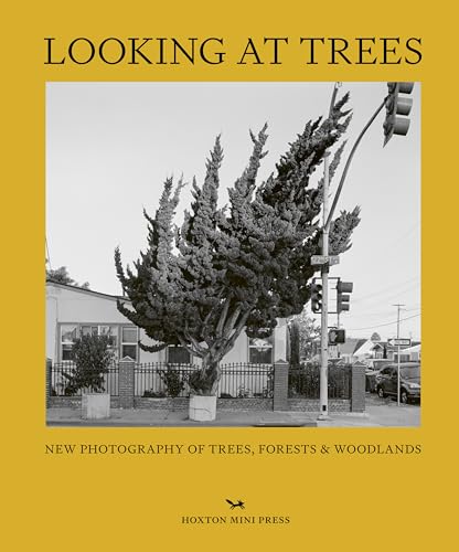 Yellow book cover featuring a black and white photo of a leaning urban tree.