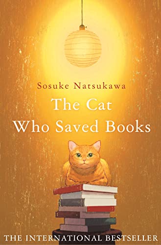 Book cover featuring an orange cat sitting on a stack of books.