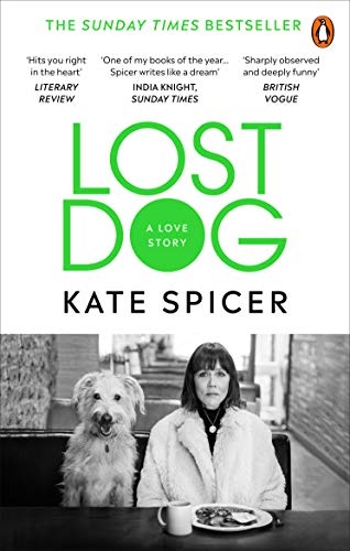 Book cover: woman and dog, titled “Lost Dog: A Love Story”.