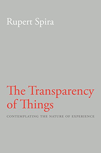 Book cover with grey background, white author name, and red title text.