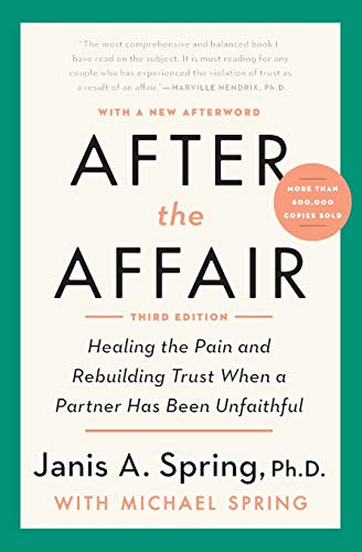 Book cover titled After the Affair by Janis A. Spring with Michael Spring.