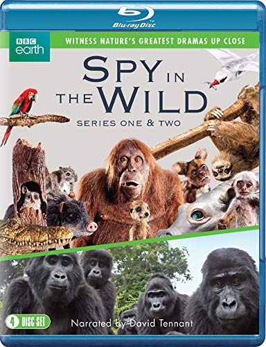 Blu-ray cover for "Spy In The Wild" featuring various animal portraits.