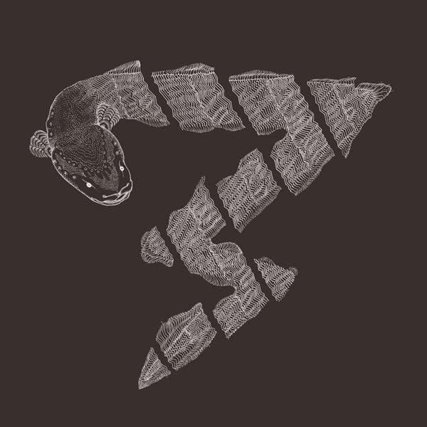 Line-drawing of a fragmented fish head and body on a dark background.