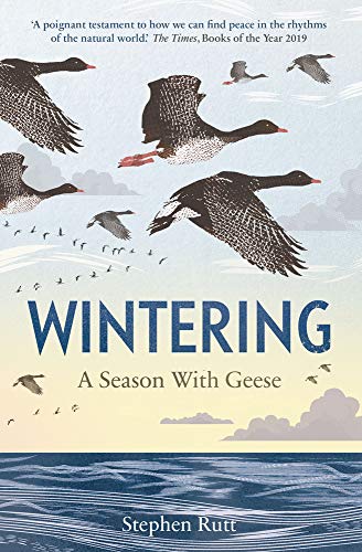 Book cover: geese in flight over water, title “Wintering” by Stephen Rutt.