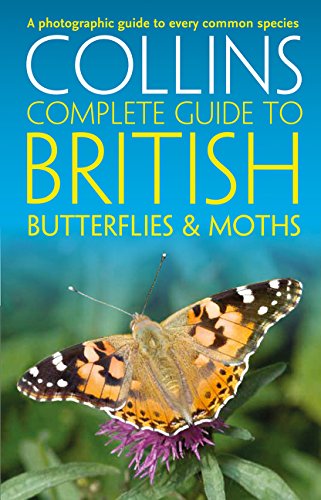 Book cover featuring a colorful butterfly on a purple flower.