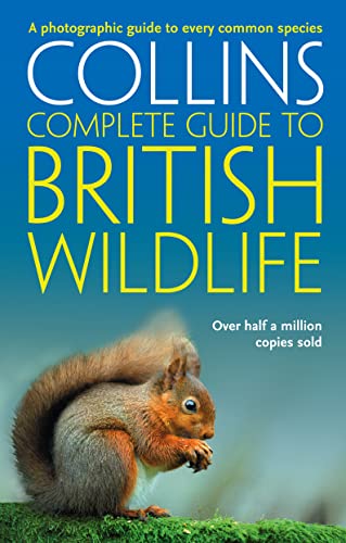 Book cover for Collins Complete Guide to British Wildlife featuring a red squirrel.