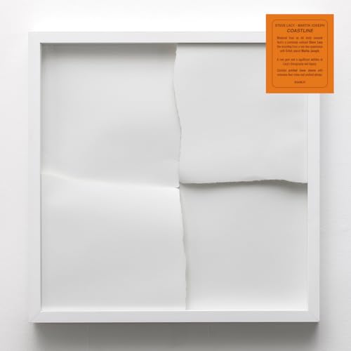 Vinyl record in white frame with orange text label, abstract cover.
