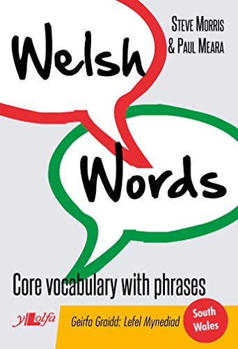 Book cover titled Welsh Words with red and green speech bubbles on grey background.