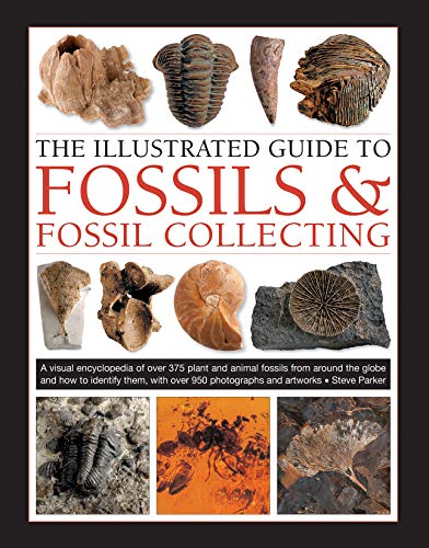 Book cover displaying various fossil specimens and the title "Fossils & Fossil Collecting".