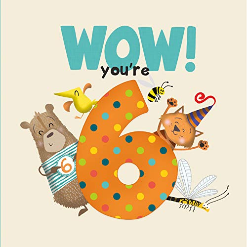 Colorful illustration of animals celebrating a sixth birthday with a large number 6.
