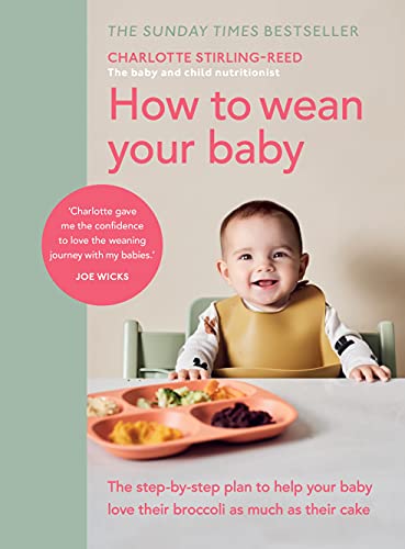 Book cover with baby in highchair facing colorful pureed food.