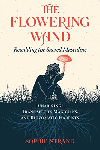 Book cover: seated figure holding a glowing mushroom amidst tall grass.