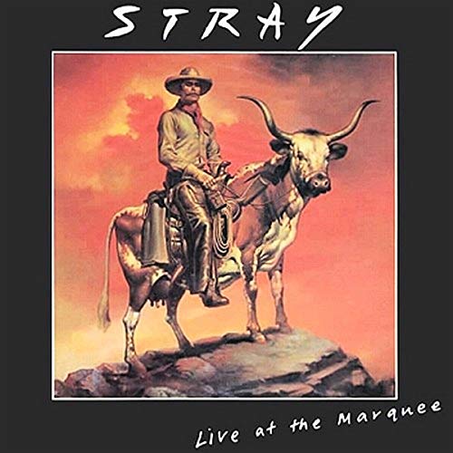 Cowboy riding a longhorn against a red and orange sky.