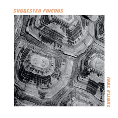 Album cover for Suggested Friends - Turtle Taxi, abstract geometric design.