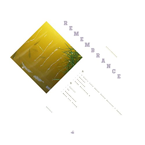 A vinyl record cover featuring a yellow-tinted, diamond-shaped image of grassy water.