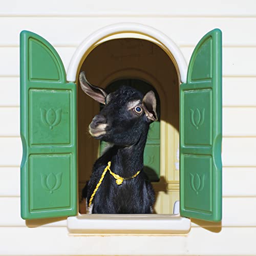 Black goat peeks out from a green and white playhouse window.