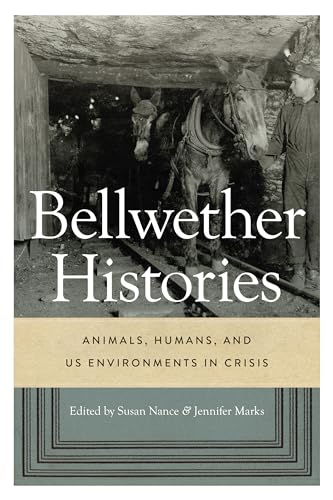 Book cover: horses in a mine with text "Bellwether Histories: Animals".