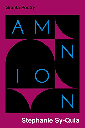 Book cover for "Amnion" by Stephanie Sy-Quia, abstract geometric design.