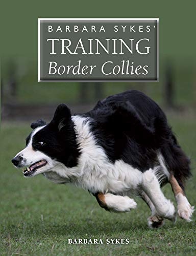 Book cover featuring a black and white Border Collie running across a grassy field.